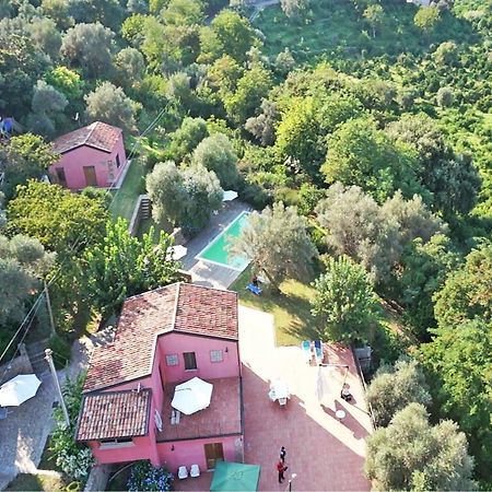 Agricontura Capri Leone Quarto foto