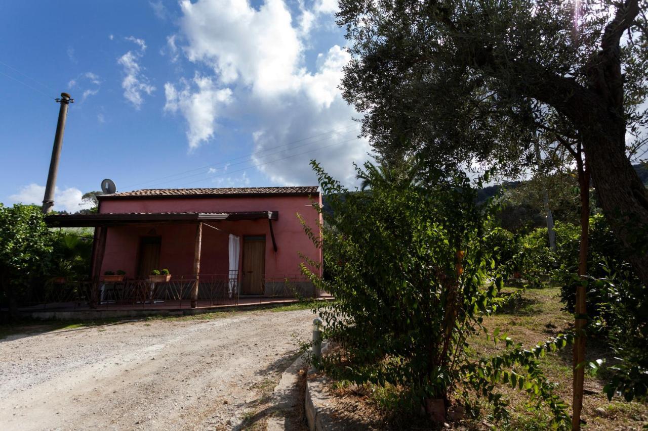 Agricontura Capri Leone Exterior foto